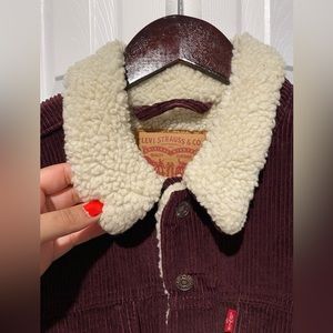 Levi’s Sherpa Trucker Jacket w/Corduroy